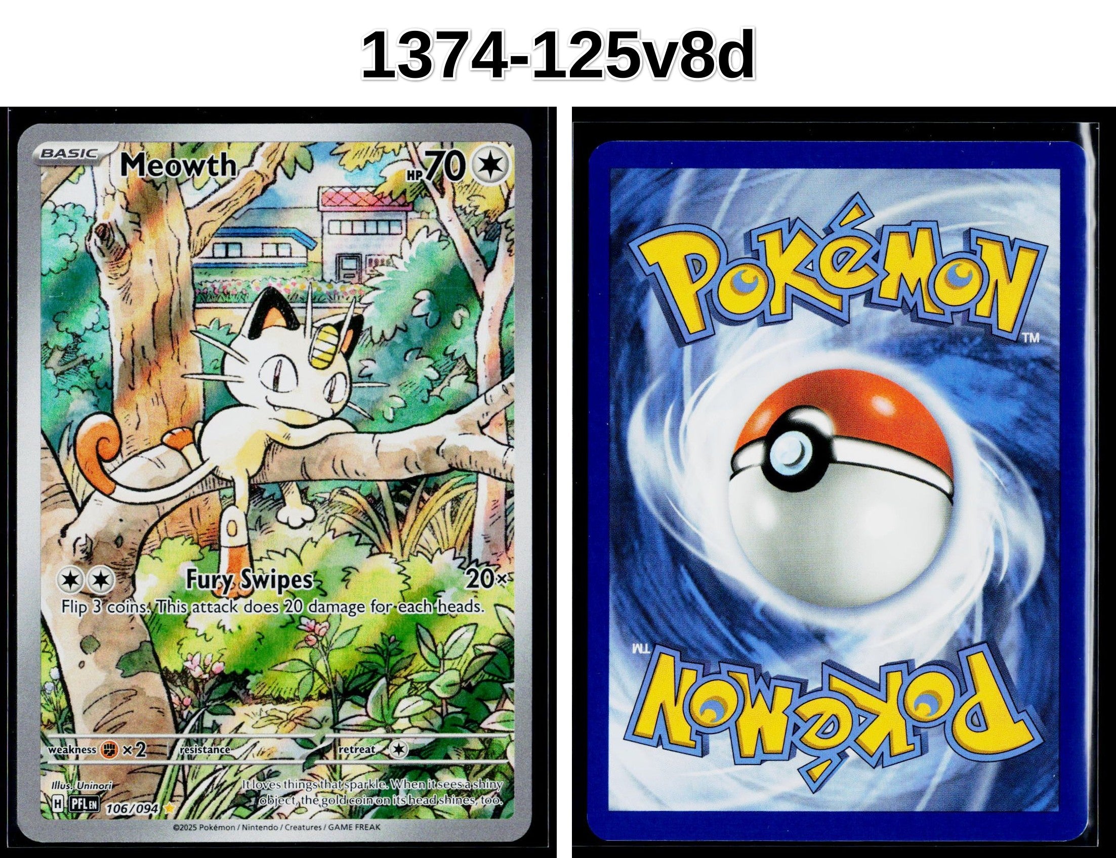 Front + Back scan