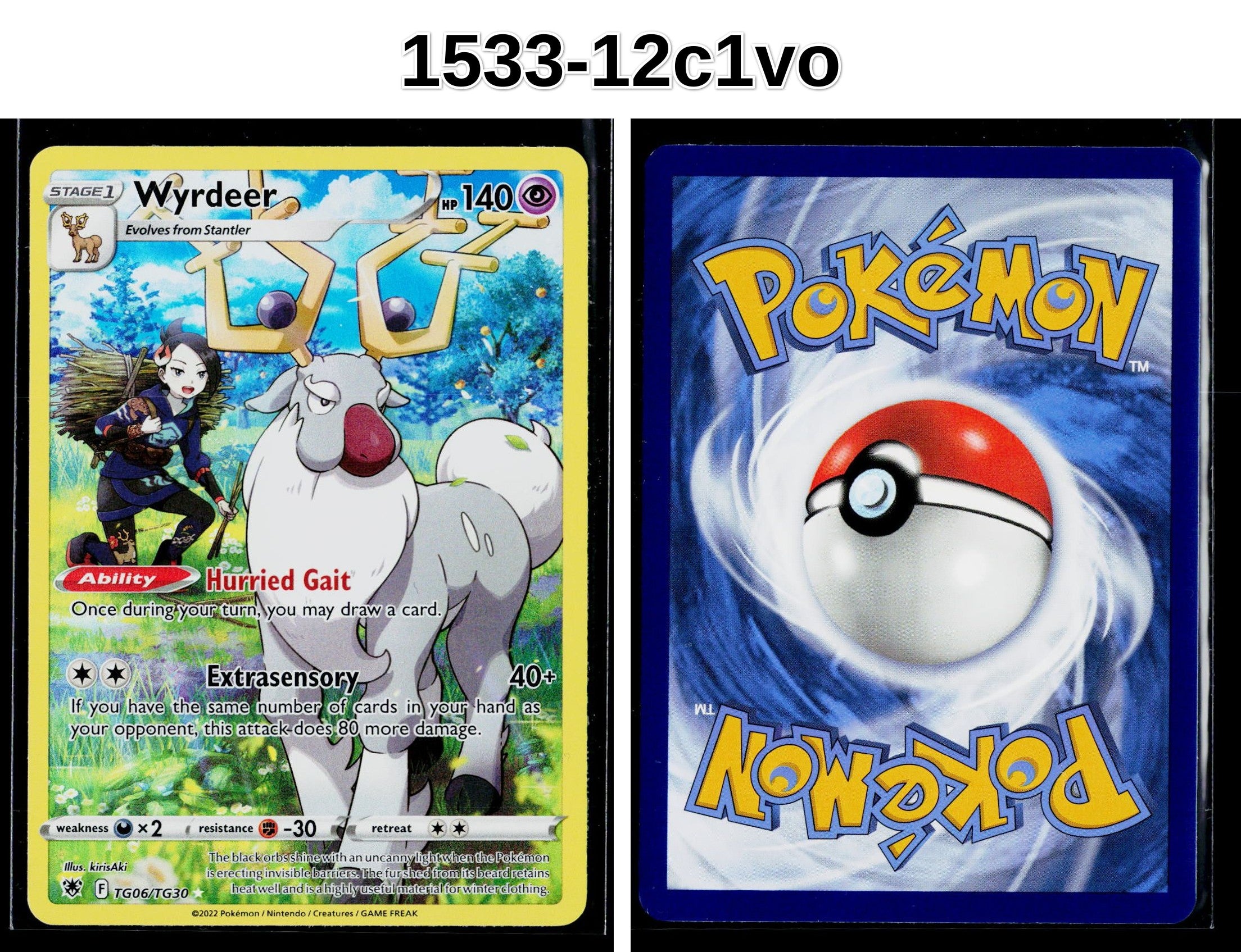 Front + Back scan