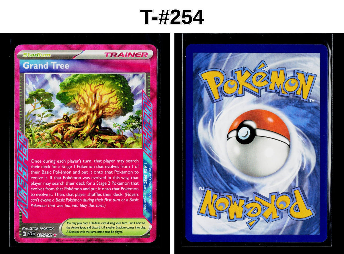 Front + Back scan