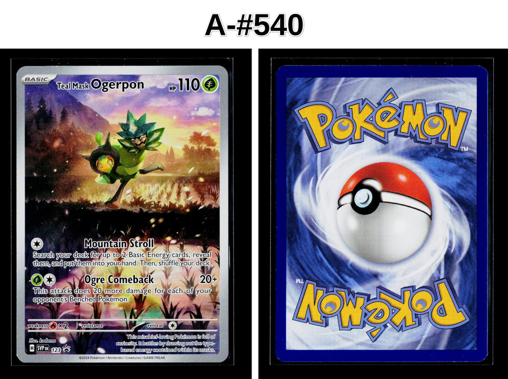 Front + Back scan