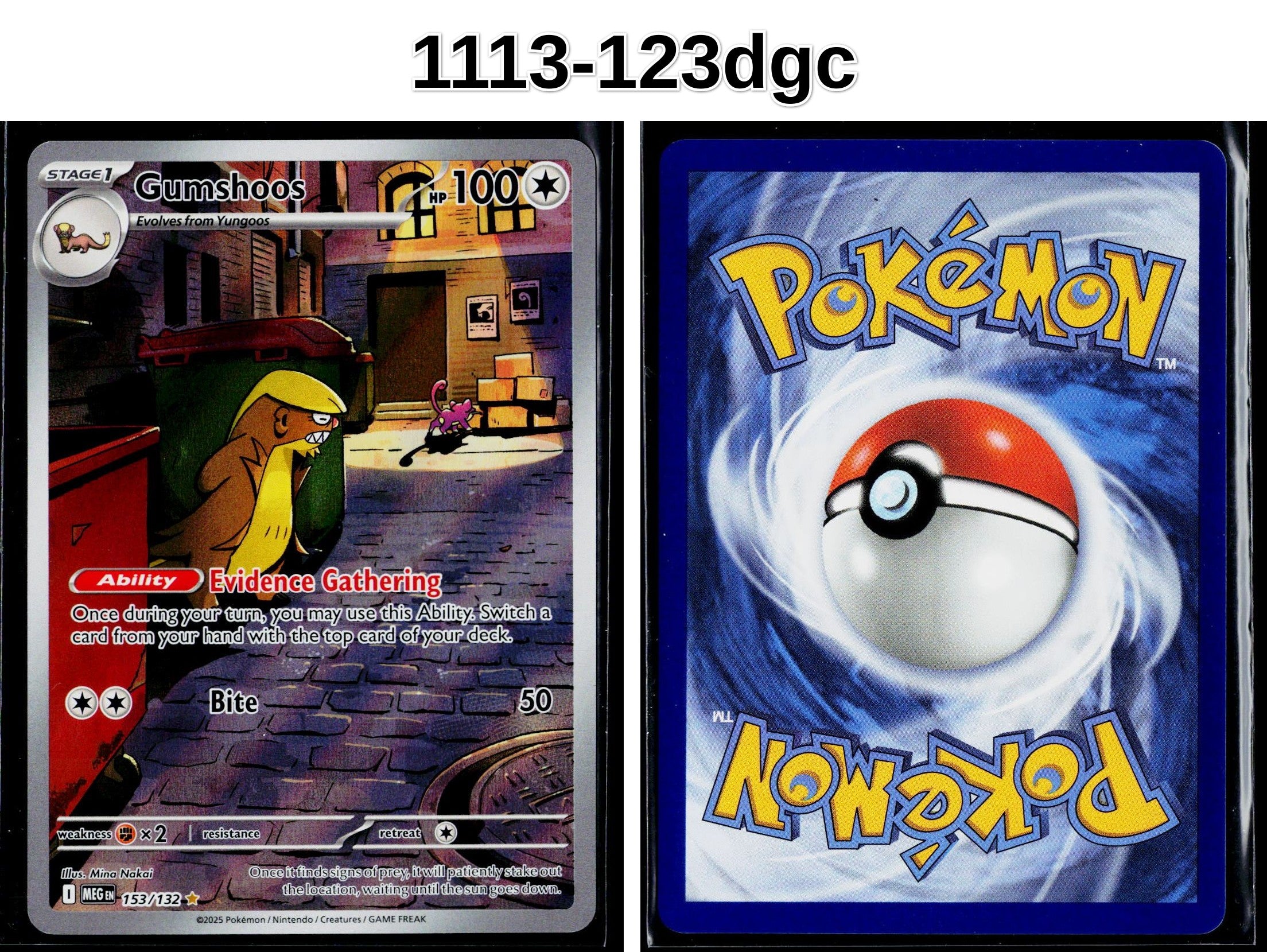 Front + Back scan