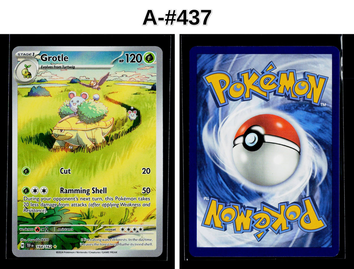 Front + Back scan
