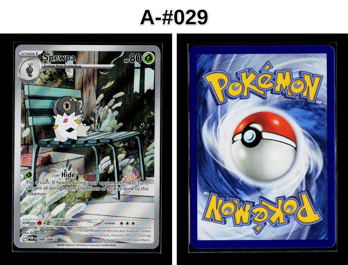 Front + Back scan