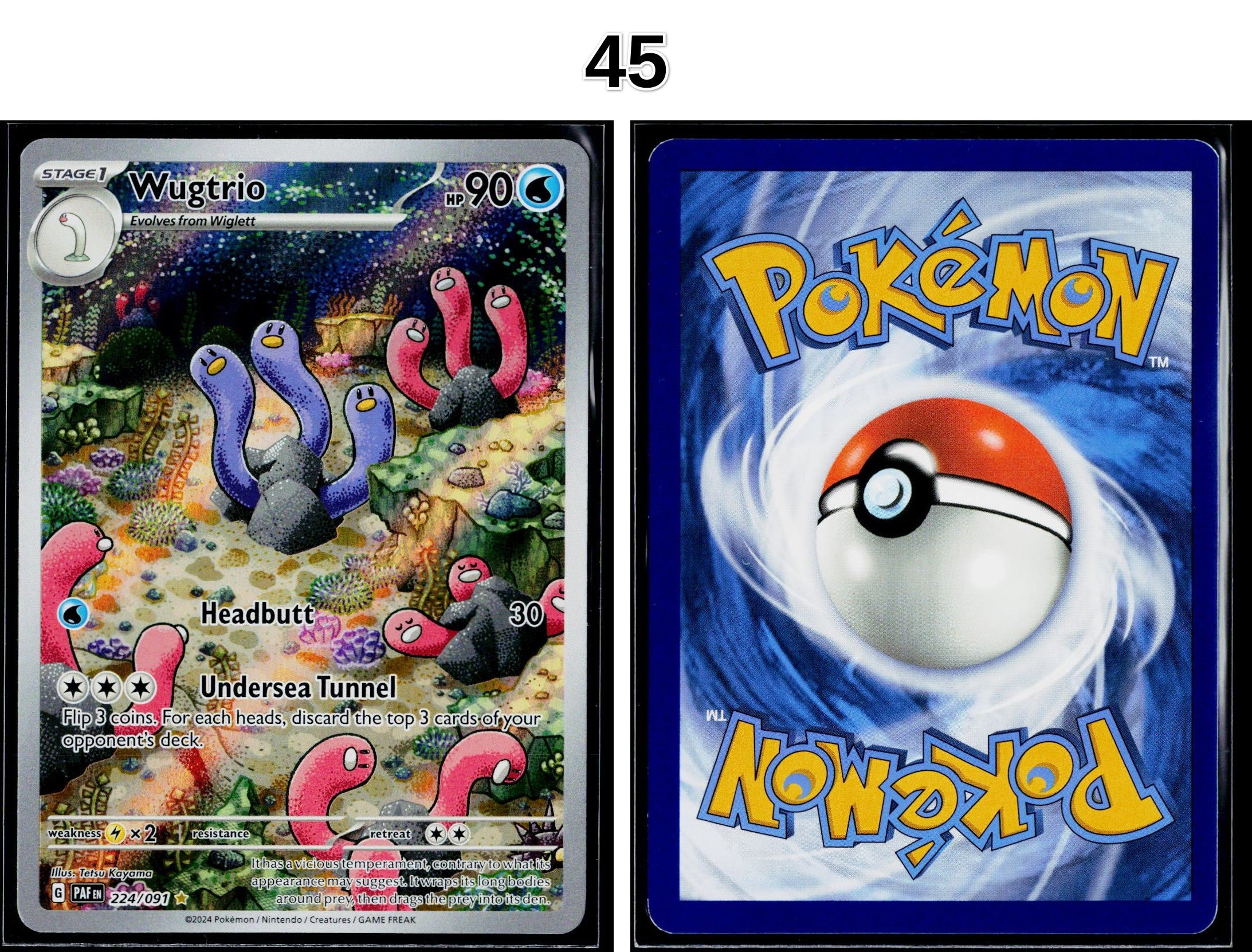 Front + Back scan