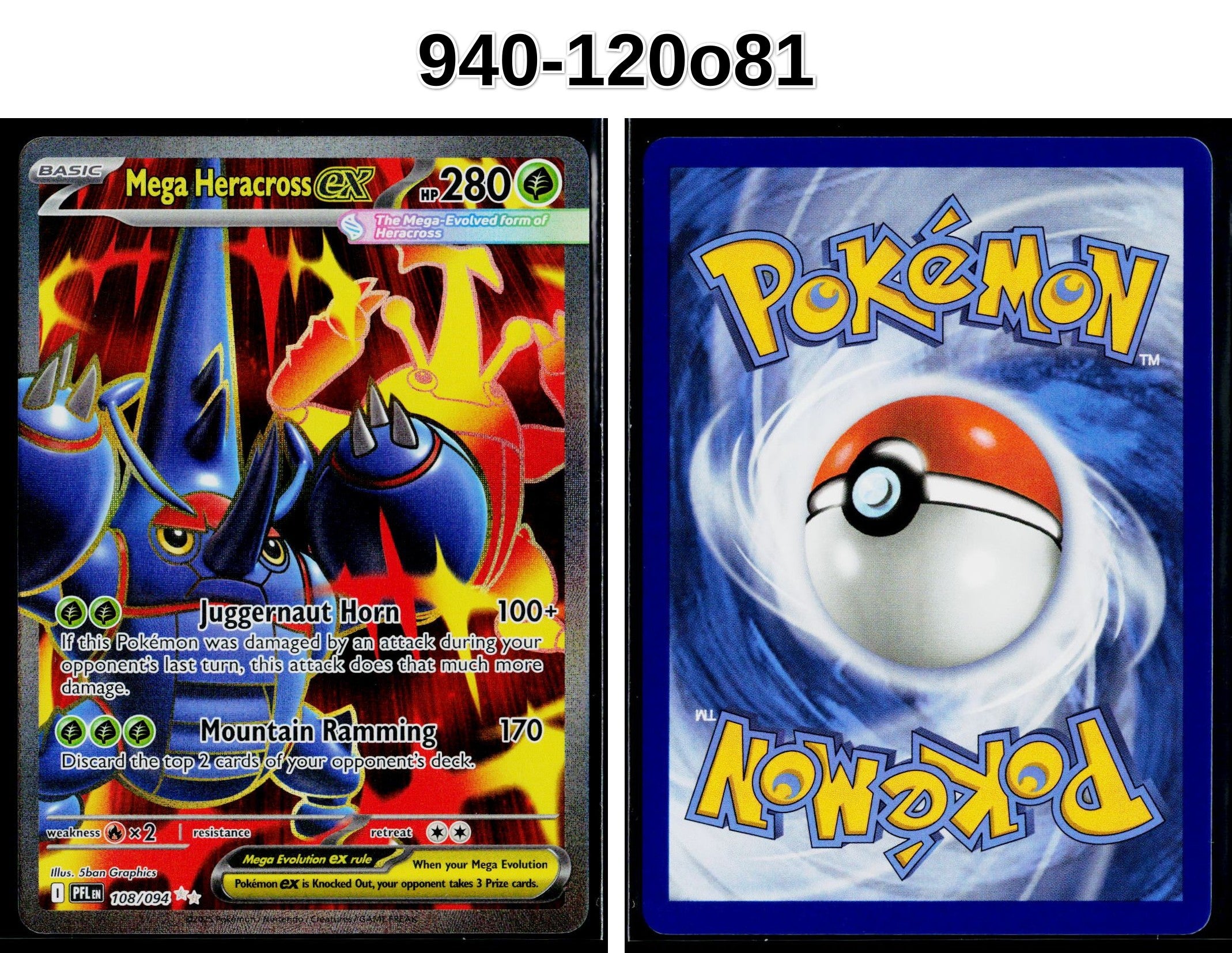Front + Back scan