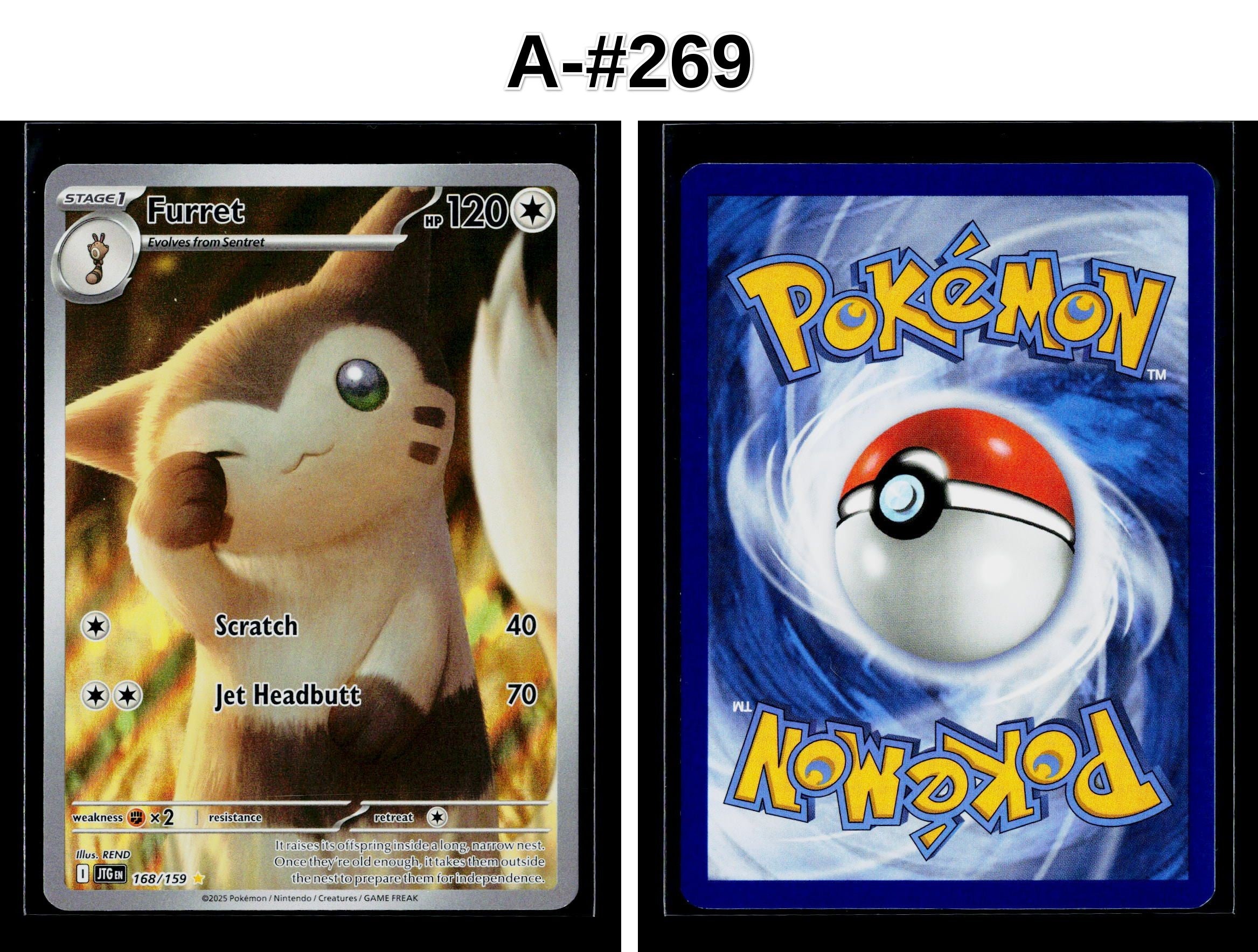 Front + Back scan