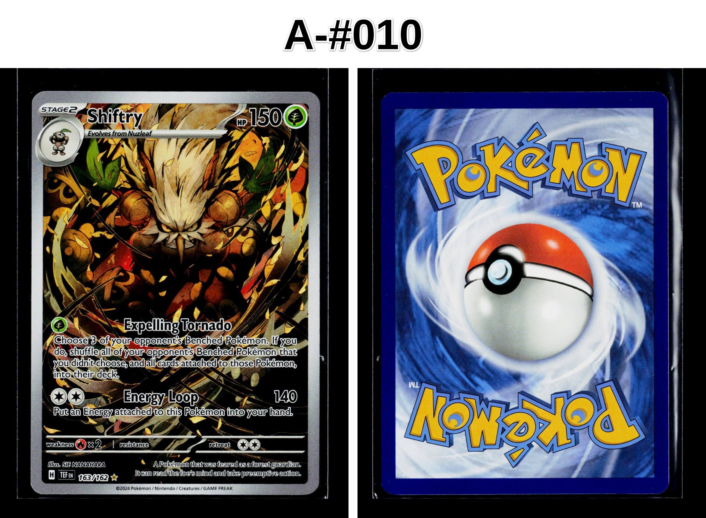 Front + Back scan