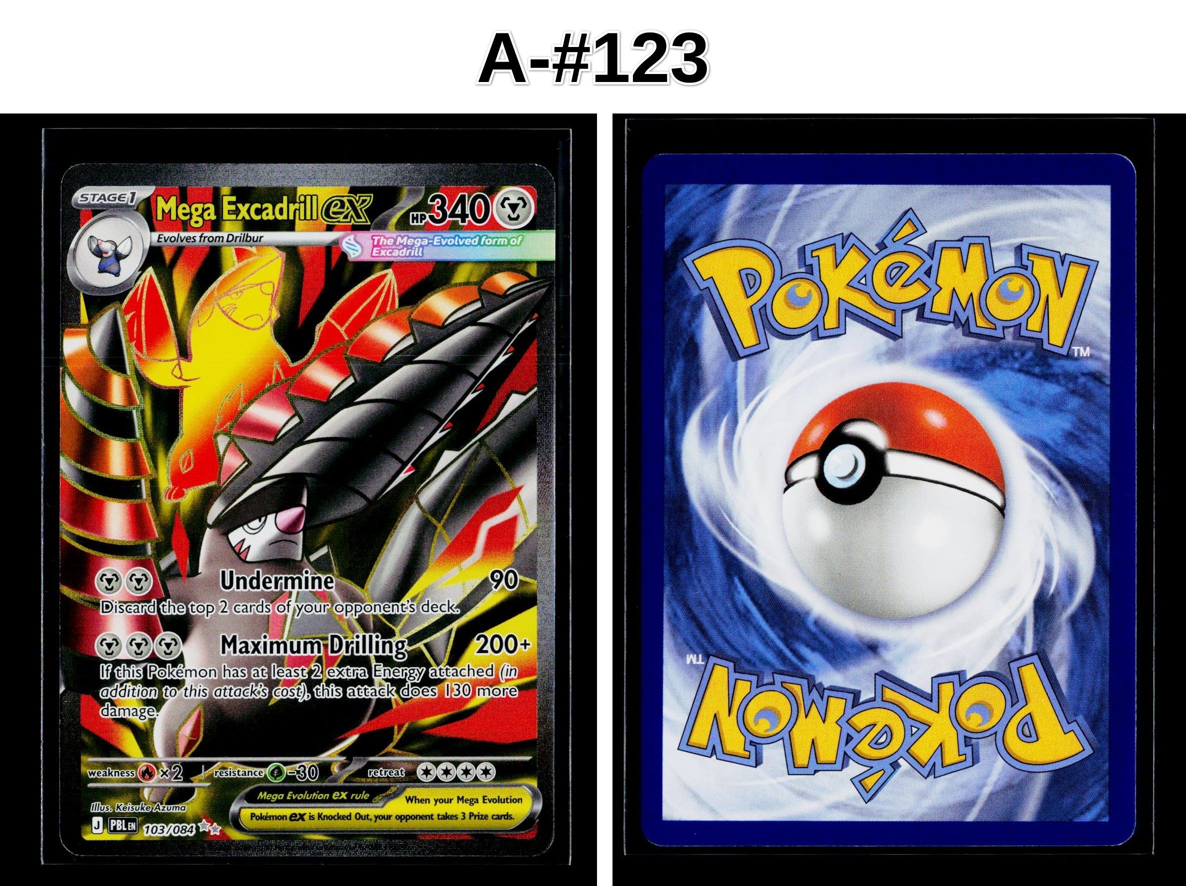 Front + Back scan
