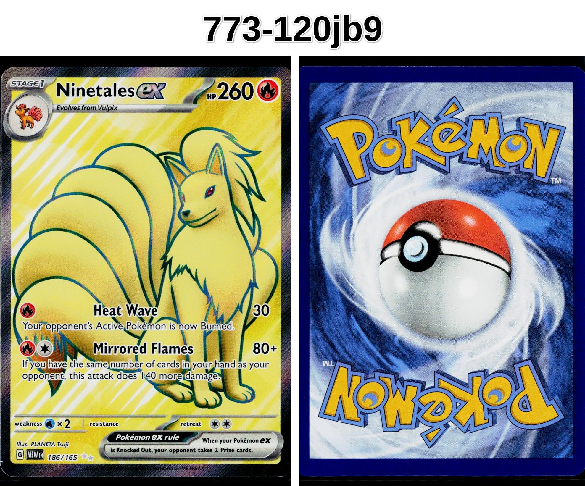 Front + Back scan
