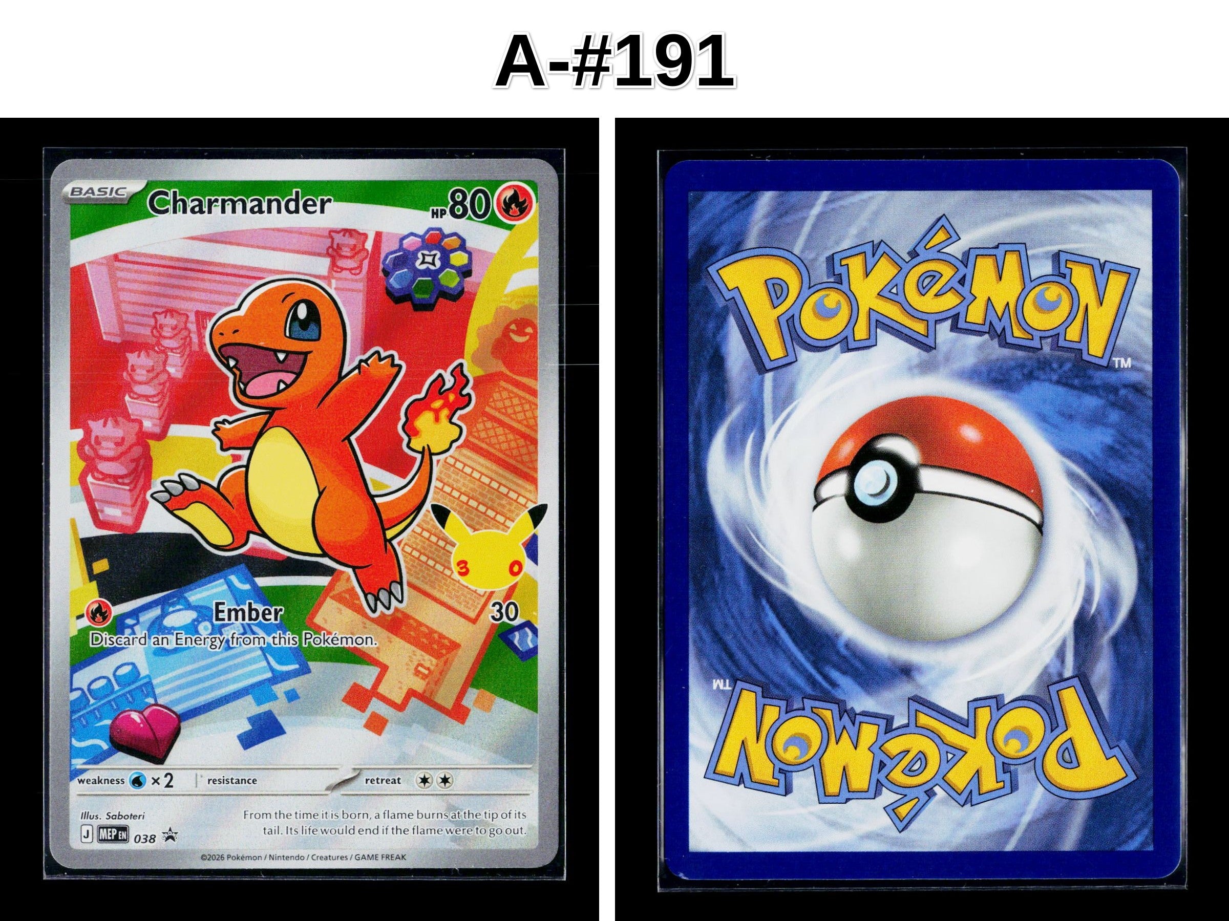 Front + Back scan